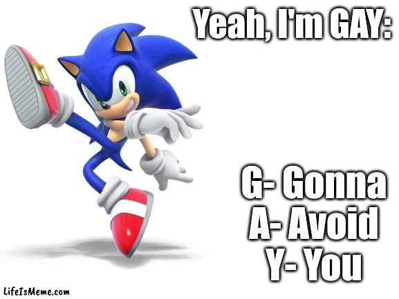 Sonic |  Yeah, I'm GAY:; G- Gonna
A- Avoid
Y- You | image tagged in sonic the hedgehog | made w/ Lifeismeme meme maker