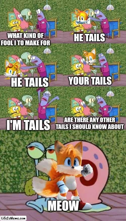 I'm tails!!!!! |  WHAT KIND OF FOOL I TO MAKE FOR; HE TAILS; YOUR TAILS; HE TAILS; I'M TAILS; ARE THERE ANY OTHER TAILS I SHOULD KNOW ABOUT; MEOW | image tagged in he's squidward your squidward i'm squidward meme,tails the fox,sonic the hedgehog,spongebob squarepants,memes,i'm squidward | made w/ Lifeismeme meme maker