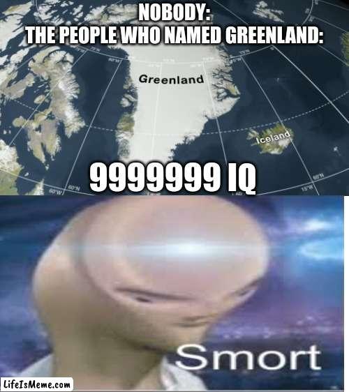 I mean seriously. |  9999999 IQ; NOBODY:
THE PEOPLE WHO NAMED GREENLAND: | image tagged in lol,it happens,but why tho | made w/ Lifeismeme meme maker