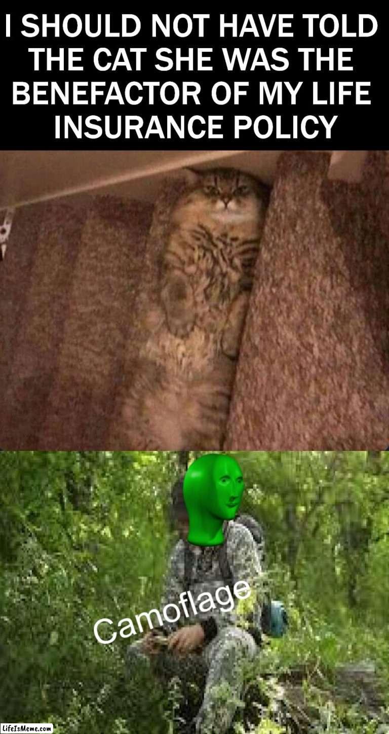 Never tell anyone |  I SHOULD NOT HAVE TOLD 
THE CAT SHE WAS THE 
BENEFACTOR OF MY LIFE 
INSURANCE POLICY | image tagged in camoflage,benefactor,cats,stairs,falling down,broken neck | made w/ Lifeismeme meme maker