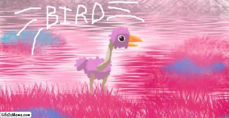 ꧁BIRD꧂ | image tagged in birds,bird,birb,roblox,digital art | made w/ Lifeismeme meme maker