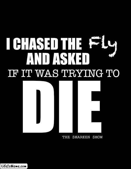 Awareness |  Fly; I CHASED THE             AND ASKED; IF IT WAS TRYING TO; DIE; THE SHAREEN SHOW | image tagged in mental health,abuse,violence,chasing | made w/ Lifeismeme meme maker