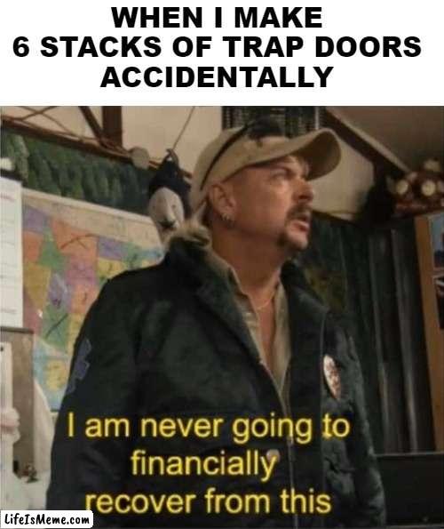 Trap doors are expensive |  WHEN I MAKE 
6 STACKS OF TRAP DOORS 
ACCIDENTALLY | image tagged in tiger king finances,minecraft | made w/ Lifeismeme meme maker