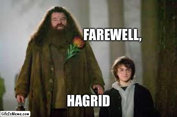 Bye… ? |  HAGRID; FAREWELL, | image tagged in hagrid | made w/ Lifeismeme meme maker
