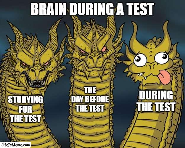 free epic Junket |  BRAIN DURING A TEST; THE DAY BEFORE THE TEST; DURING THE TEST; STUDYING FOR THE TEST | image tagged in three-headed dragon | made w/ Lifeismeme meme maker
