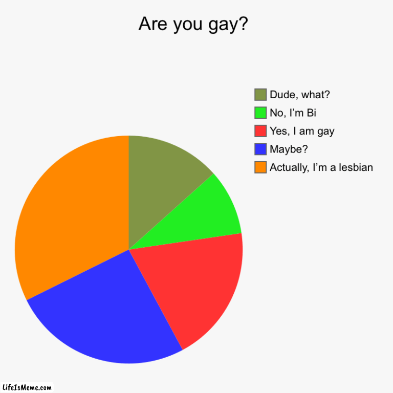 Are you gay? | Are you gay? | Actually, I’m a lesbian, Maybe?, Yes, I am gay, No, I’m Bi, Dude, what? | image tagged in charts,pie charts | made w/ Lifeismeme chart maker