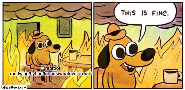 Wof fireproof stuffs |  Fireproof mudwing/hybrid/tribrids/whatever in wof | image tagged in memes,this is fine,wings of fire,fire | made w/ Lifeismeme meme maker