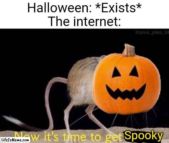 Halloween meme lol |  Halloween: *Exists*
The internet:; Spooky | image tagged in now it s time to get funky,halloween,october,memes,funny | made w/ Lifeismeme meme maker