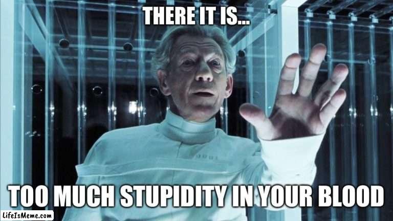 Too much stupidity |  THERE IT IS…; TOO MUCH STUPIDITY IN YOUR BLOOD | image tagged in magneto,x-men,prison | made w/ Lifeismeme meme maker