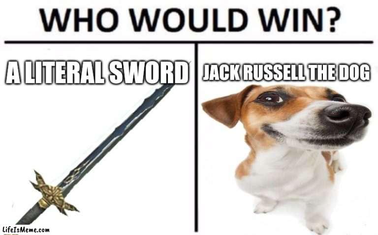 Sword vs custom imag rp dog |  A LITERAL SWORD; JACK RUSSELL THE DOG | image tagged in who would win | made w/ Lifeismeme meme maker