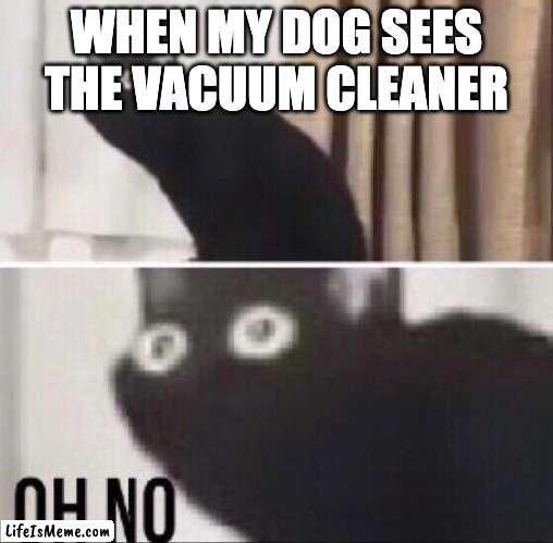 Oh no cat |  WHEN MY DOG SEES THE VACUUM CLEANER | image tagged in oh no cat | made w/ Lifeismeme meme maker