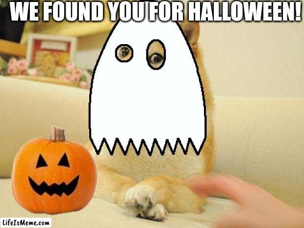 Doge halloween |  WE FOUND YOU FOR HALLOWEEN! | image tagged in doge | made w/ Lifeismeme meme maker