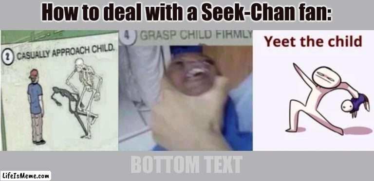 I honestly don't know why I did this- |  How to deal with a Seek-Chan fan:; BOTTOM TEXT | image tagged in casually approach child grasp child firmly yeet the child,doors,oh wow are you actually reading these tags | made w/ Lifeismeme meme maker