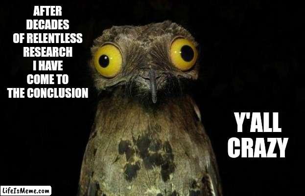 Y'all Be Crazy |  AFTER DECADES OF RELENTLESS RESEARCH I HAVE COME TO THE CONCLUSION; Y'ALL CRAZY | image tagged in memes,weird stuff i do potoo,crazy,crazy man,crazy lady,you crazy son of a bitch you did it | made w/ Lifeismeme meme maker
