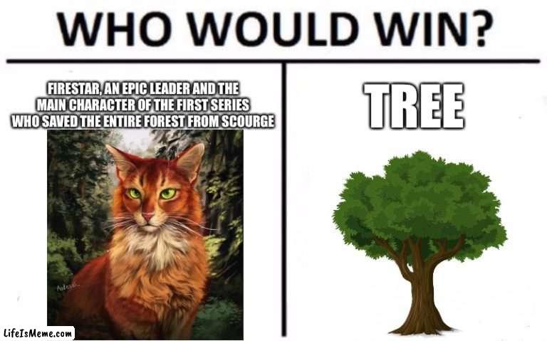 Who WOULD win!? |  FIRESTAR, AN EPIC LEADER AND THE MAIN CHARACTER OF THE FIRST SERIES WHO SAVED THE ENTIRE FOREST FROM SCOURGE; TREE | image tagged in memes,who would win,firestar,firestar vs,firestar vs tree | made w/ Lifeismeme meme maker