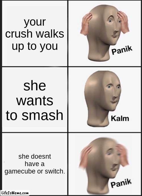 uhm I don´t know if she would want to play smash bros. |  your crush walks up to you; she wants to smash; she doesnt have a gamecube or switch. | image tagged in memes,panik kalm panik,smash | made w/ Lifeismeme meme maker
