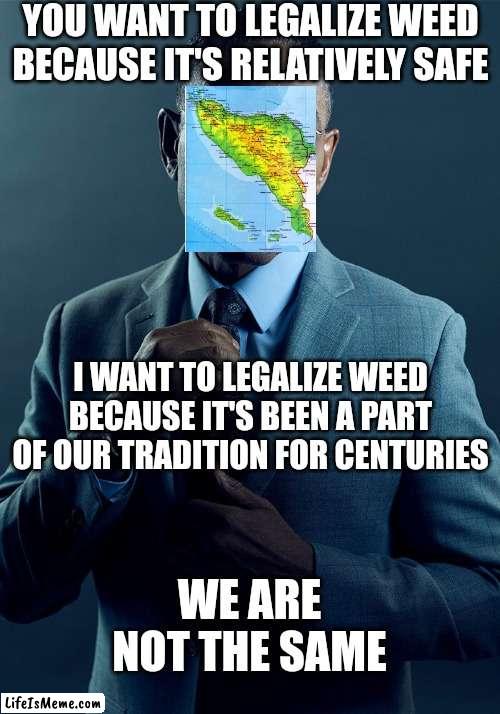 hehe sharia law + weed go brrr |  YOU WANT TO LEGALIZE WEED BECAUSE IT'S RELATIVELY SAFE; I WANT TO LEGALIZE WEED BECAUSE IT'S BEEN A PART OF OUR TRADITION FOR CENTURIES; WE ARE NOT THE SAME | image tagged in gus fring we are not the same,weed,legalize weed,marijuana,cannabis,indonesia | made w/ Lifeismeme meme maker