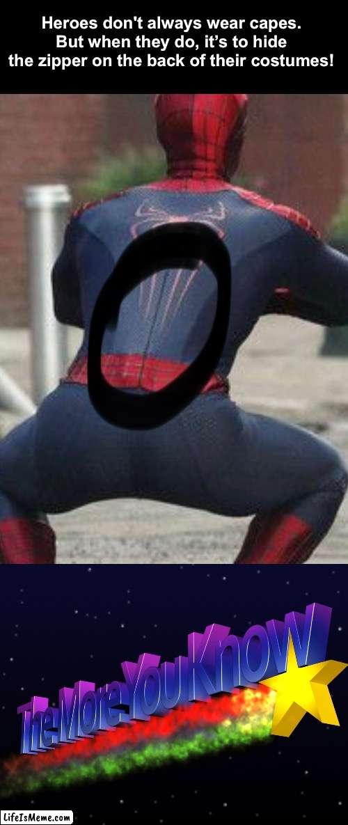 (Real!) lol |  Heroes don't always wear capes. But when they do, it’s to hide the zipper on the back of their costumes! | image tagged in funny,superheroes | made w/ Lifeismeme meme maker