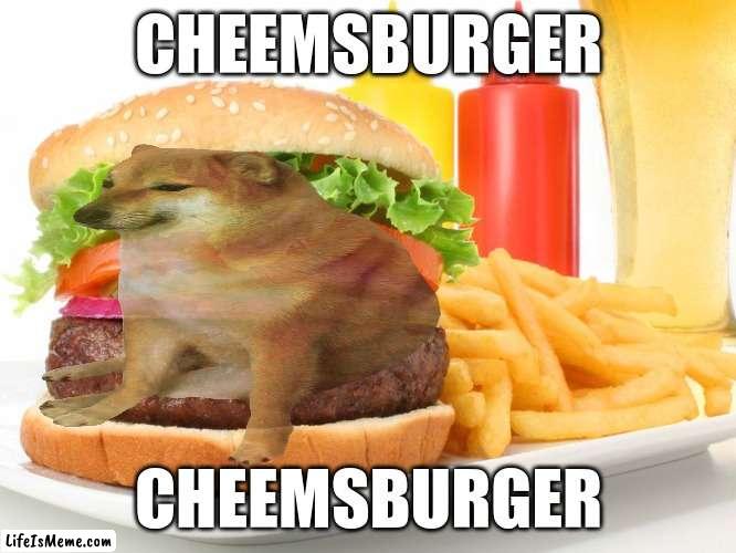 Cheemsburger.... yum |  CHEEMSBURGER; CHEEMSBURGER | image tagged in cheems,burger,funny,fun,memes,oh wow are you actually reading these tags | made w/ Lifeismeme meme maker
