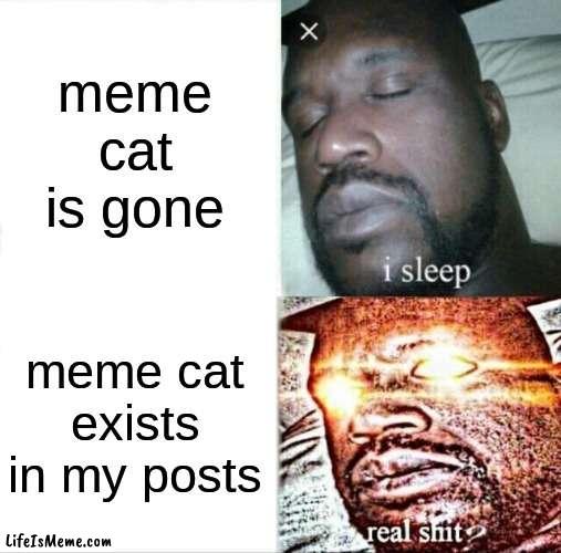 #DESTROY MEMECAT |  meme cat is gone; meme cat exists in my posts | image tagged in memes,sleeping shaq | made w/ Lifeismeme meme maker