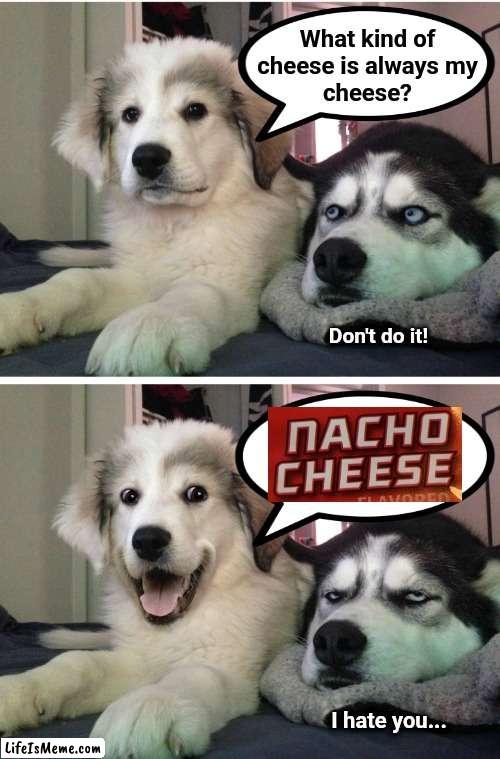 Bad pun doggies |  What kind of
cheese is always my
cheese? Don't do it! I hate you... | image tagged in memes,bad pun dogs,cheese,nacho cheese | made w/ Lifeismeme meme maker