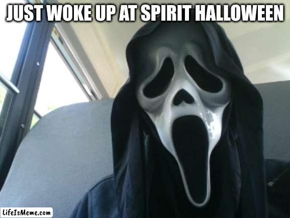 Just woke up at spirit Halloween |  JUST WOKE UP AT SPIRIT HALLOWEEN | image tagged in fyp,halloween,scream | made w/ Lifeismeme meme maker