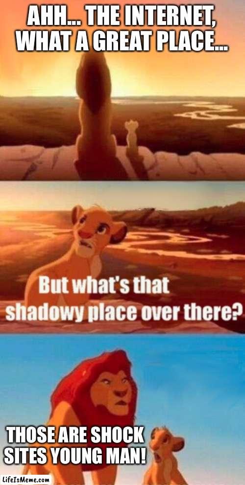 Don’t go to them! |  AHH... THE INTERNET, WHAT A GREAT PLACE... THOSE ARE SHOCK SITES YOUNG MAN! | image tagged in memes,simba shadowy place | made w/ Lifeismeme meme maker