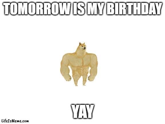 yay |  TOMORROW IS MY BIRTHDAY; YAY | image tagged in blank white template | made w/ Lifeismeme meme maker