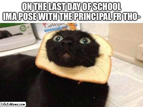 Gonna do it lol |  ON THE LAST DAY OF SCHOOL IMA POSE WITH THE PRINCIPAL FR THO- | image tagged in funny,funny memes,school,school meme | made w/ Lifeismeme meme maker