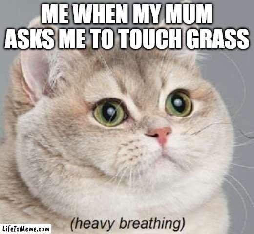 grass nooooooo. p.s i acctually play ten sports |  ME WHEN MY MUM ASKS ME TO TOUCH GRASS | image tagged in memes,heavy breathing cat | made w/ Lifeismeme meme maker