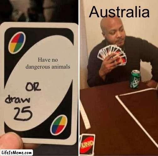 I am Aussie so i cant disagree |  Australia; Have no dangerous animals | image tagged in memes,uno draw 25 cards,australia | made w/ Lifeismeme meme maker