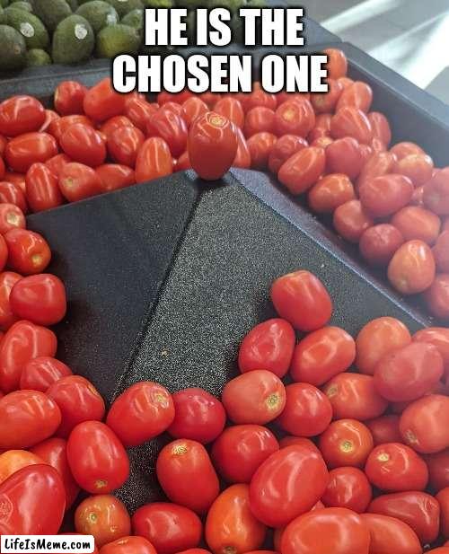 The one and the only |  HE IS THE CHOSEN ONE | image tagged in holy,tomato | made w/ Lifeismeme meme maker