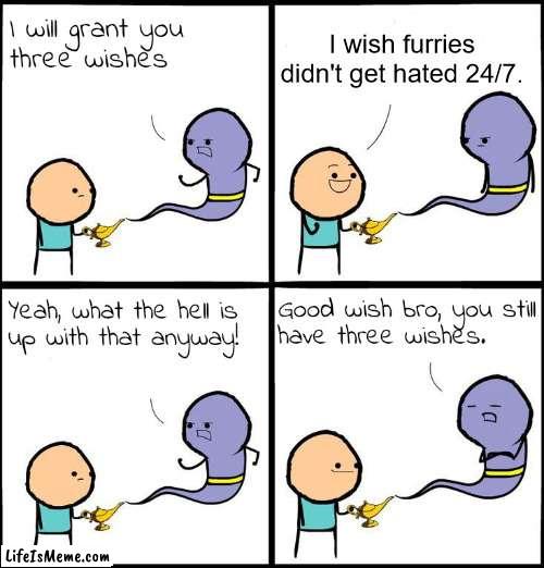 please don't hate on furries |  I wish furries didn't get hated 24/7. | image tagged in 3 wishes,furry,funny,furry memes | made w/ Lifeismeme meme maker