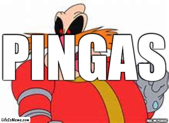 Pingas |  PINGAS; (KILL ME PLEASE) | image tagged in pingas,funny | made w/ Lifeismeme meme maker