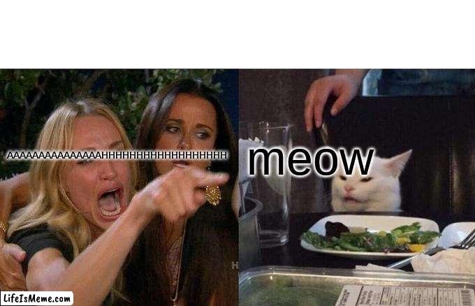 aaaaaaaaaaaaaaaaaaaaaaaaaahhhhhhhhhhhhhhhhhh |  AAAAAAAAAAAAAAAHHHHHHHHHHHHHHHHHH; meow | image tagged in memes,woman yelling at cat | made w/ Lifeismeme meme maker