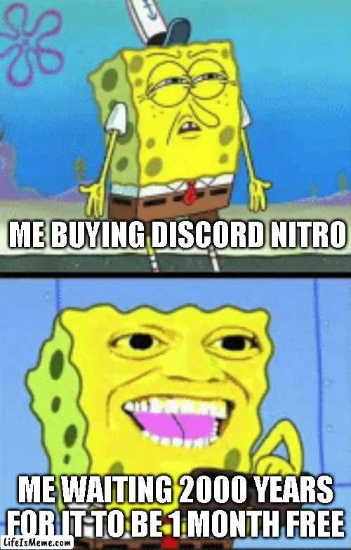 Discord won't even be alive in 2000 years. |  ME BUYING DISCORD NITRO; ME WAITING 2000 YEARS FOR IT TO BE 1 MONTH FREE | image tagged in spongebob money,discord | made w/ Lifeismeme meme maker