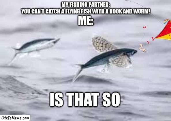 Fly fishing |  MY FISHING PARTNER:
YOU CAN'T CATCH A FLYING FISH WITH A HOOK AND WORM! ME:; IS THAT SO | image tagged in fish | made w/ Lifeismeme meme maker