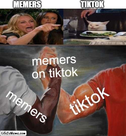 i honestly don't get what's wrong with tiktok. i mean sure i hate the dances but there are still memers on tiktok |  MEMERS; TIKTOK; memers on tiktok; tiktok; memers | image tagged in memes,epic handshake,woman yelling at cat,tiktok,true | made w/ Lifeismeme meme maker