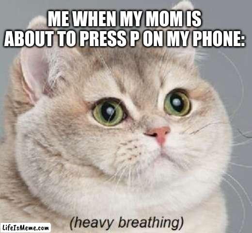 "tears intensify" |  ME WHEN MY MOM IS ABOUT TO PRESS P ON MY PHONE: | image tagged in memes,heavy breathing cat | made w/ Lifeismeme meme maker