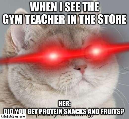 why this happend  to me |  WHEN I SEE THE GYM TEACHER IN THE STORE; HER:
DID YOU GET PROTEIN SNACKS AND FRUITS? | image tagged in rage | made w/ Lifeismeme meme maker