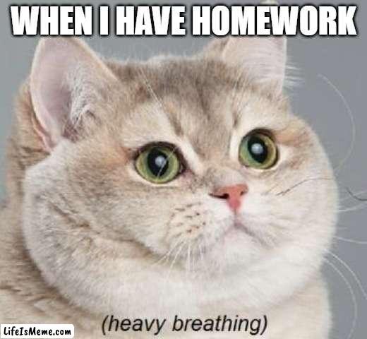 I still hate homework |  WHEN I HAVE HOMEWORK | image tagged in memes,heavy breathing cat,homework,school,meme,funny | made w/ Lifeismeme meme maker