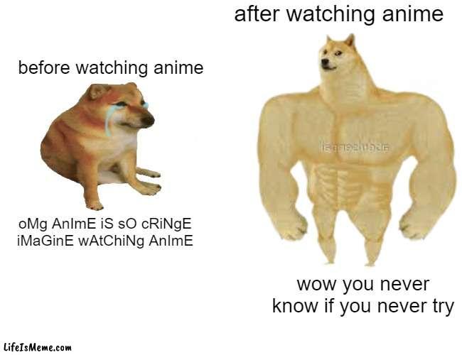 Try it |  after watching anime; before watching anime; oMg AnImE iS sO cRiNgE iMaGinE wAtChiNg AnImE; wow you never know if you never try | image tagged in anime,buff doge vs cheems | made w/ Lifeismeme meme maker