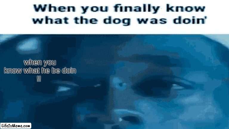 when you know what the dog be doin |  when you know what he be doin
!! | image tagged in funny,reactoin | made w/ Lifeismeme meme maker