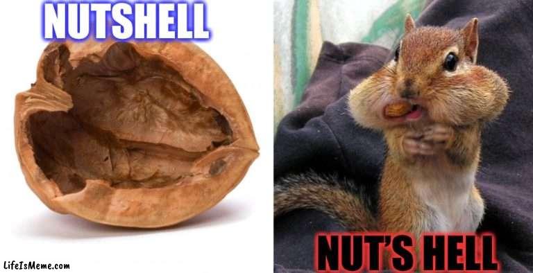 Good Grammar in Nut’s Hell |  NUTSHELL; NUT’S HELL | image tagged in nutshell,hoarding squirrel,bad grammar and spelling memes,grammar,spelling,words | made w/ Lifeismeme meme maker