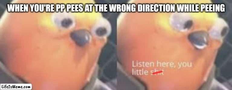 Listen here you little shit bird |  WHEN YOU'RE PP PEES AT THE WRONG DIRECTION WHILE PEEING | image tagged in listen here you little shit bird | made w/ Lifeismeme meme maker