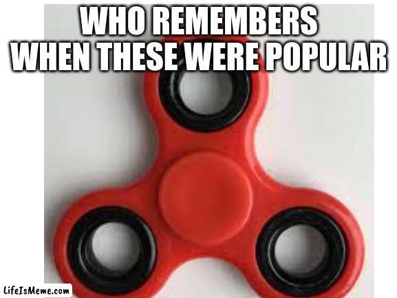 They were the good times |  WHO REMEMBERS WHEN THESE WERE POPULAR | image tagged in fidget spinner,blank white template,uwu,oof,why are you reading this | made w/ Lifeismeme meme maker