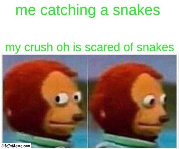 snake meme v1 |  me catching a snakes; my crush oh is scared of snakes | image tagged in memes,monkey puppet | made w/ Lifeismeme meme maker