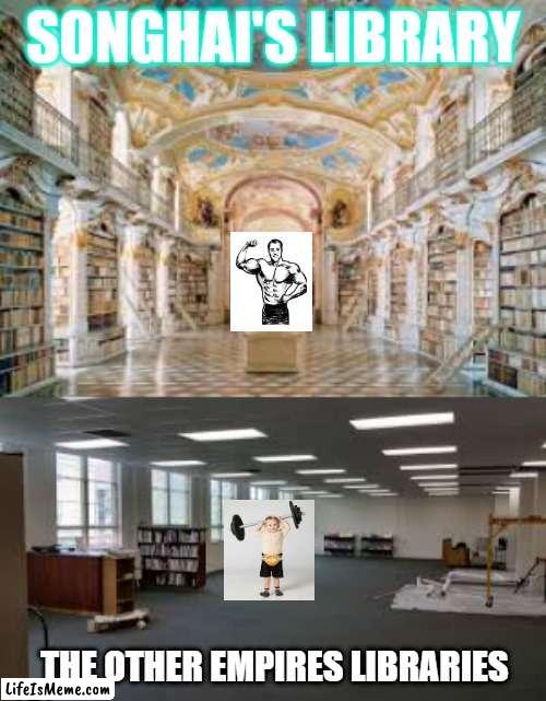 Songhai Education |  SONGHAI'S LIBRARY; THE OTHER EMPIRES LIBRARIES | image tagged in books,so much books,library,strong,empire | made w/ Lifeismeme meme maker