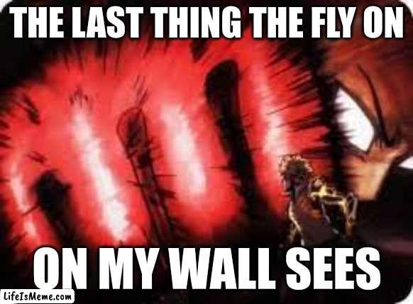 Saitama sucks at killing mosquitoes tho |  THE LAST THING THE FLY ON; ON MY WALL SEES | image tagged in saitama,memes,fight | made w/ Lifeismeme meme maker