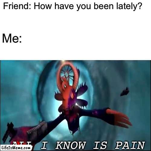 All I know is pain |  Friend: How have you been lately? Me:; ALL I KNOW IS PAIN | image tagged in funny,memes | made w/ Lifeismeme meme maker